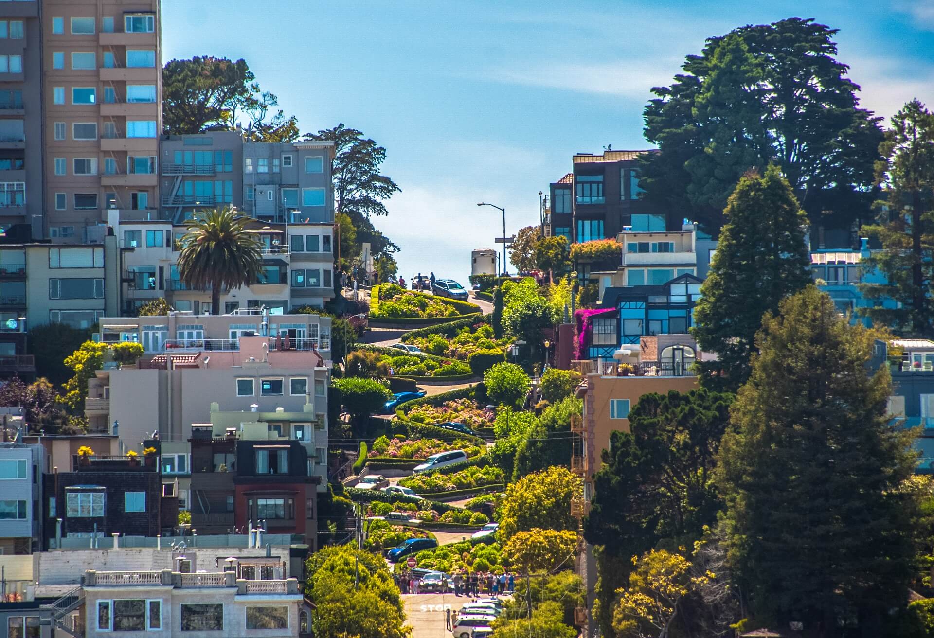 The famous Lombard Street, San Francisco