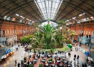 the botanical garden inside the Atocha train station in Madrid, Spain: Beautiful train stations
