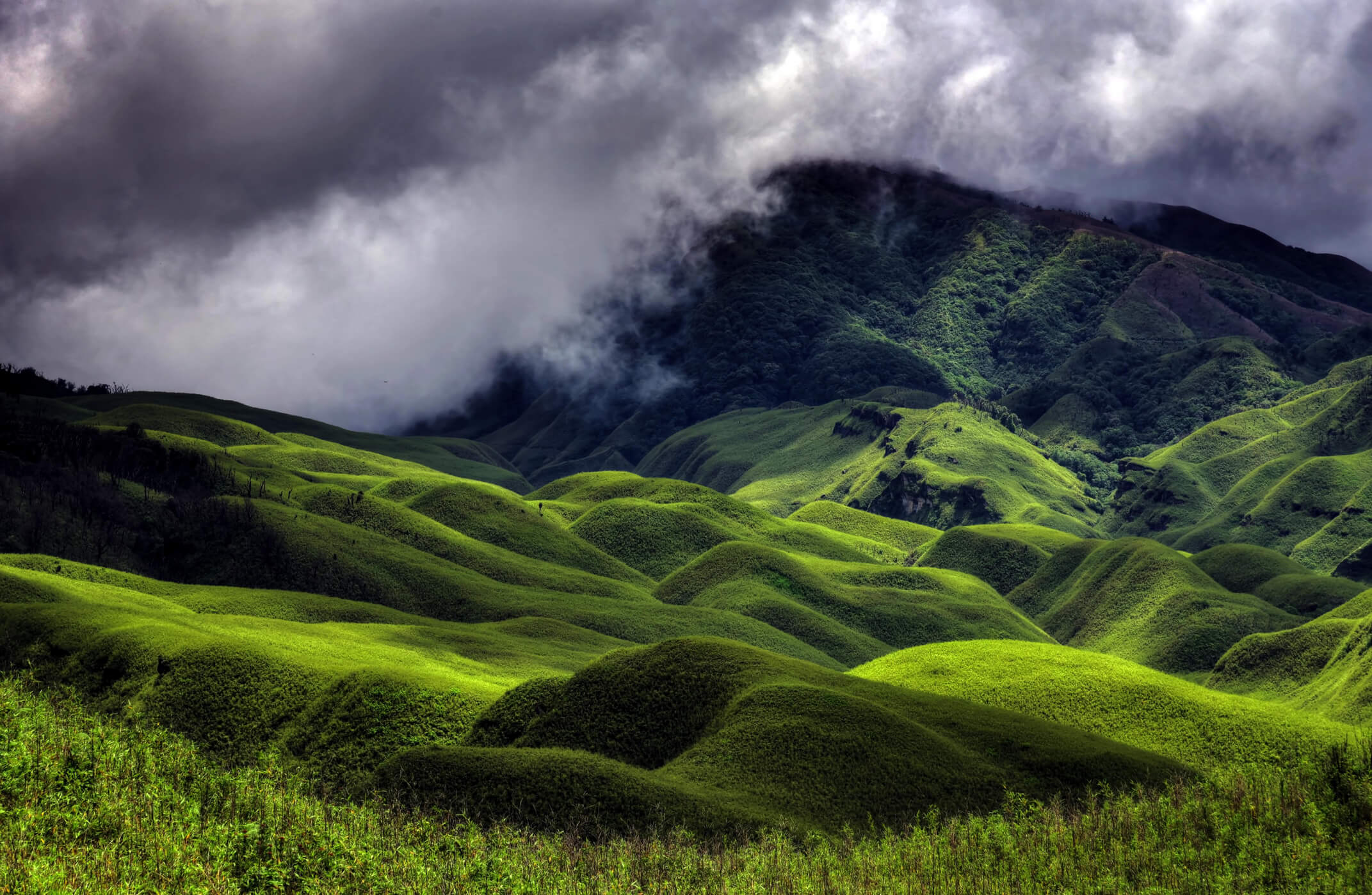 Dzukou Valley in Nagaland - Nagaland Travel Guide