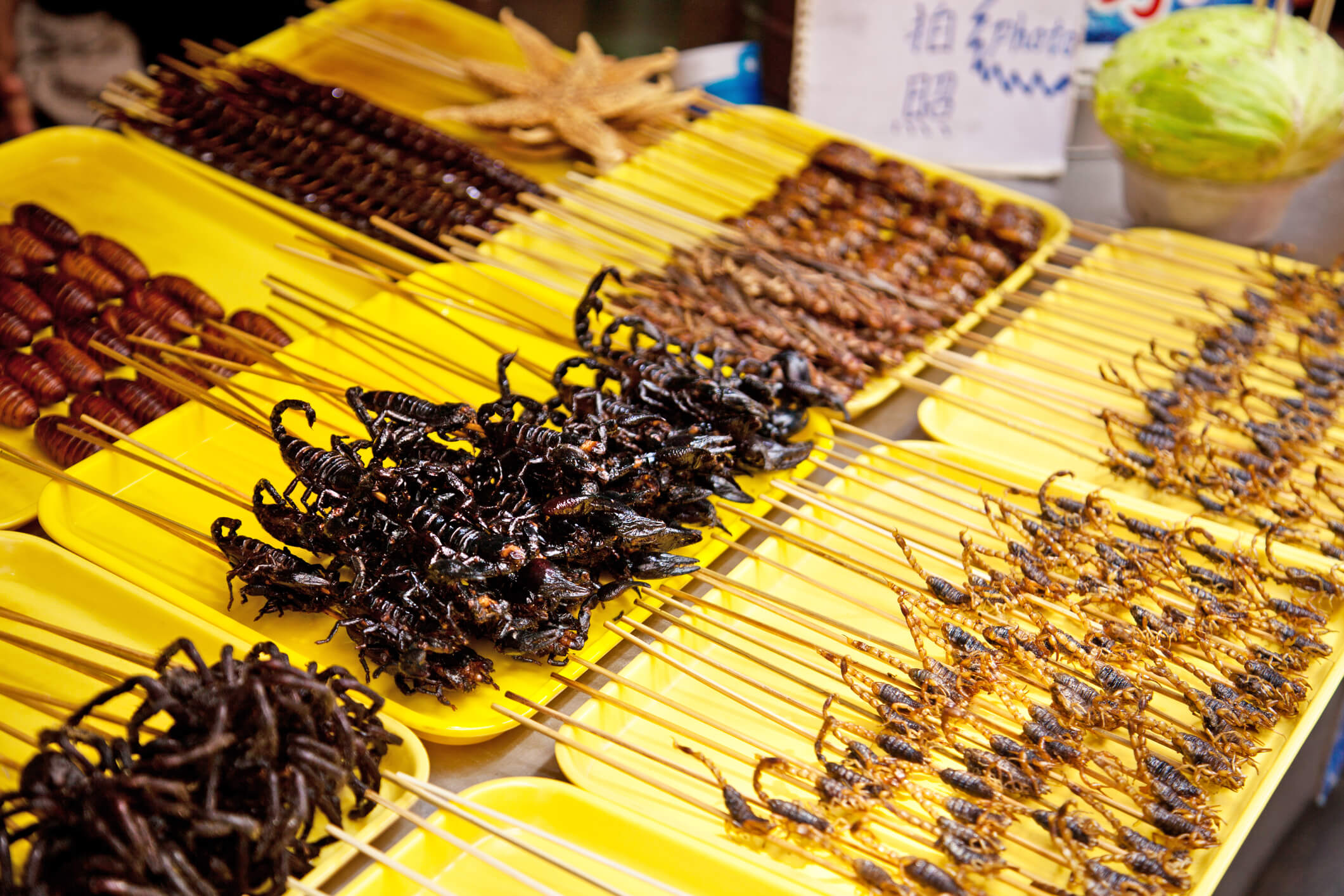 Chinese food market with a selection of scorpions and other insects - chinese customs