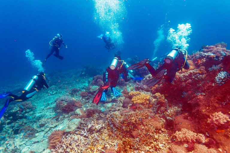 Diving in Bali: Creating a Memorable Experience