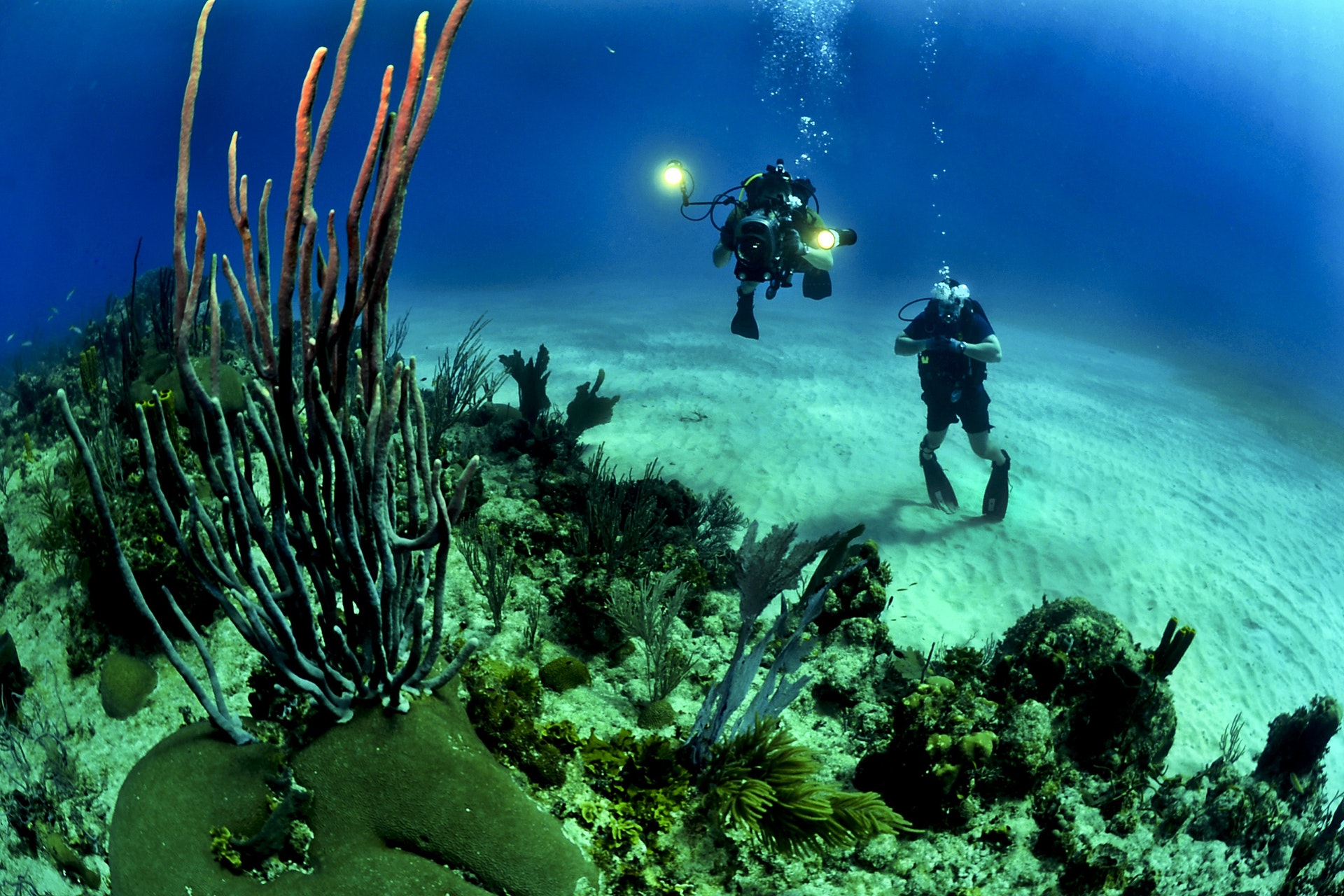 Scuba diving in India