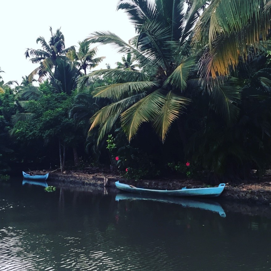 Coconut trees and boats in Kerala - spiritual travel