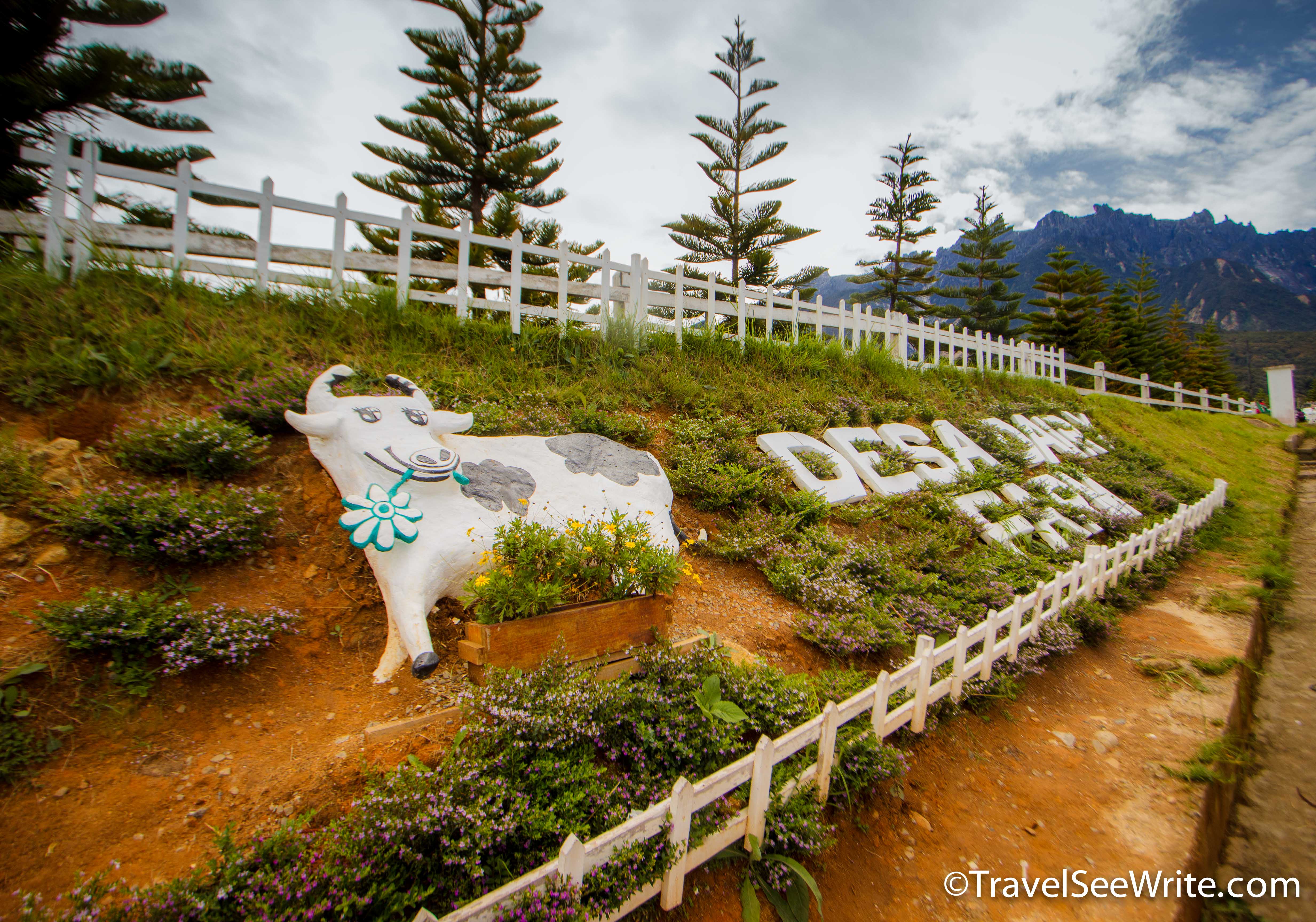 Desa Dairy Farm Entry Sign - southeast asia travel