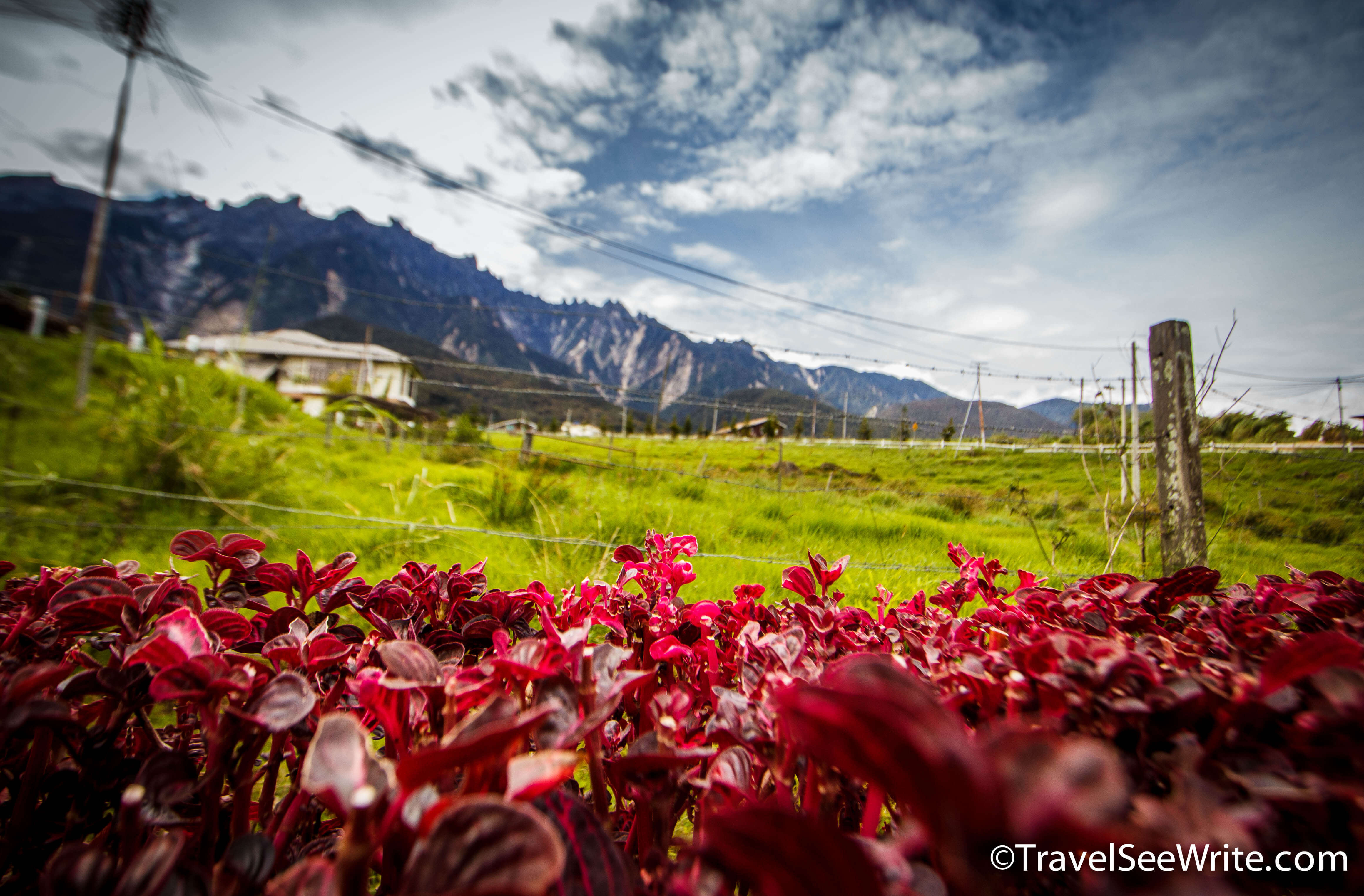 View from inside Desa Dairy Farm - southeast asia travel