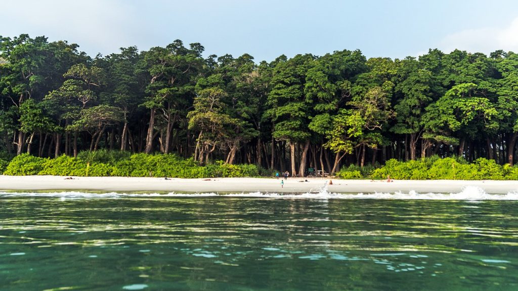 Stunning view of Radhanagar Beach on Havelock Island.