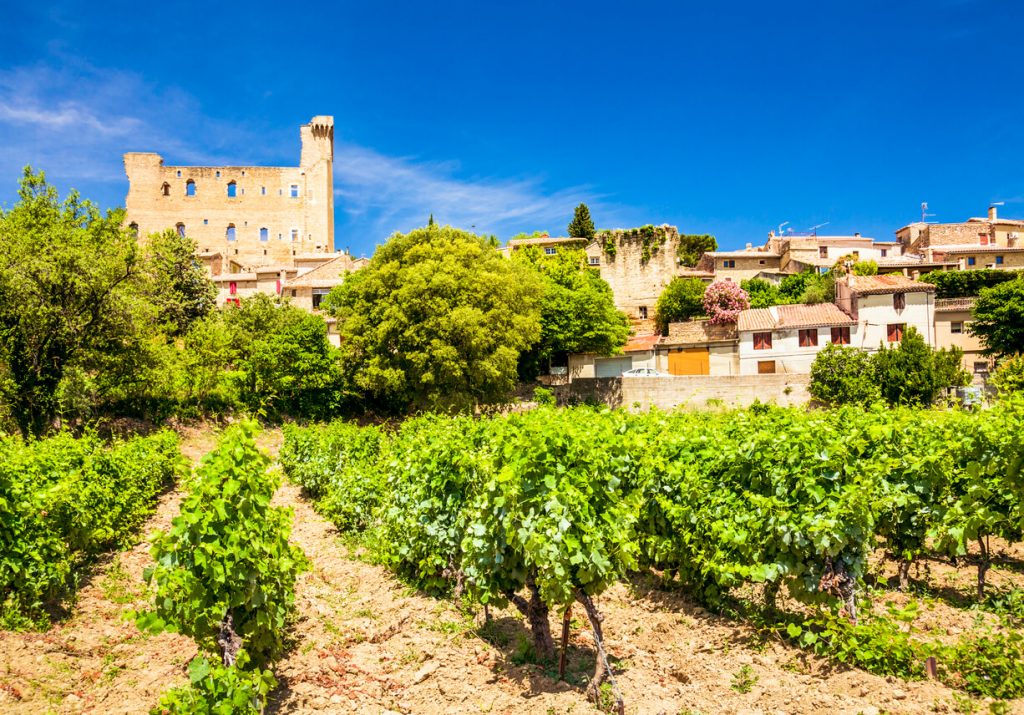 vineyards in france, Castle and vineyard in Chateneuf-du-Pape, Provence, France.