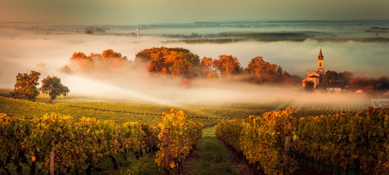 6 Gorgeous Vineyards in France for Wine-Lovers