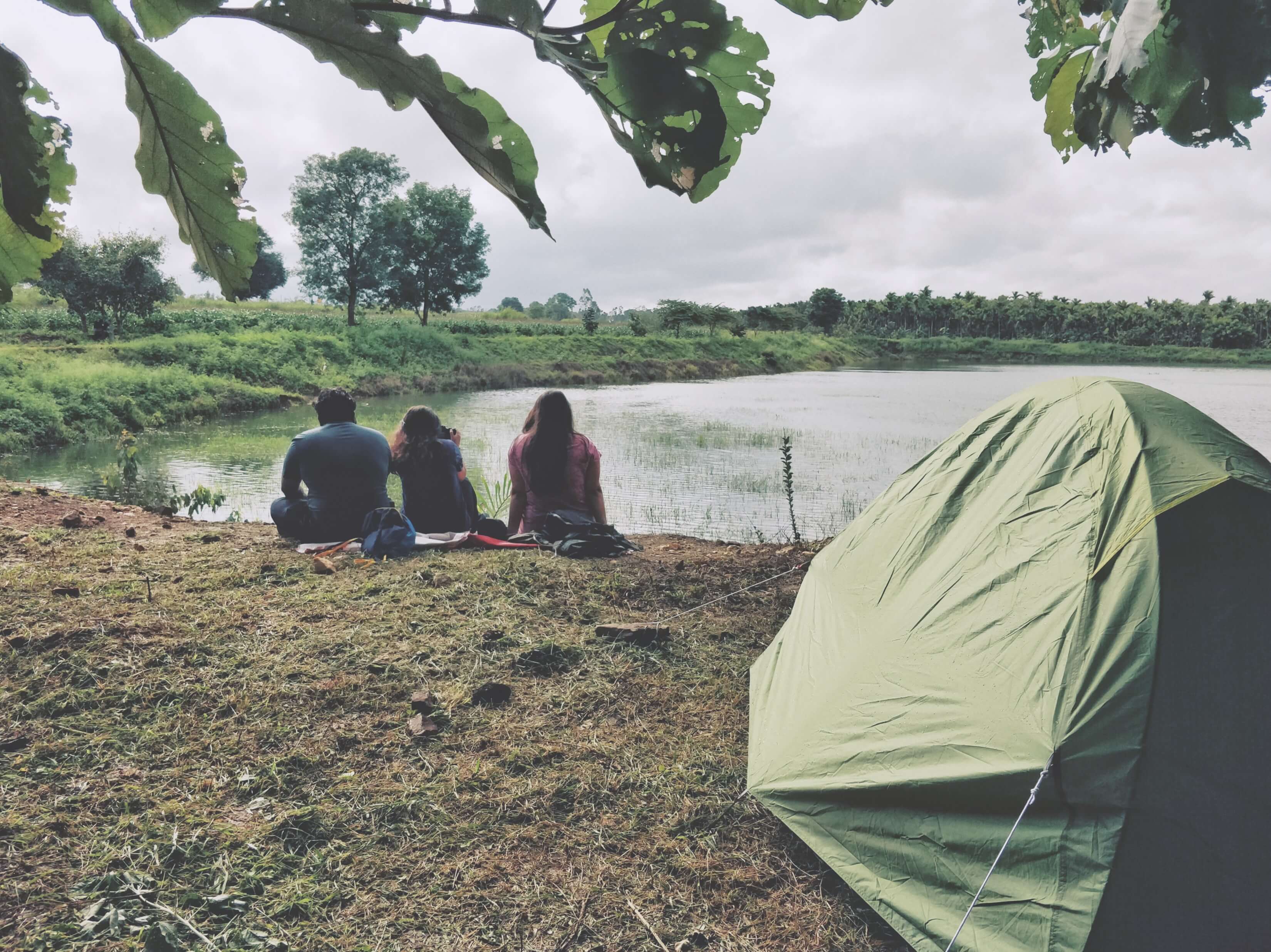 Tents at a campsite - Malanad Calling