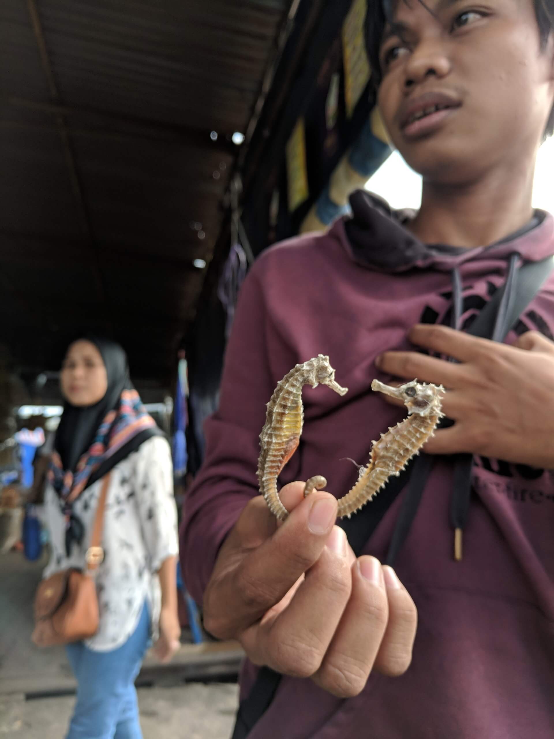 A vendor selling dried sea horse in Sabah market