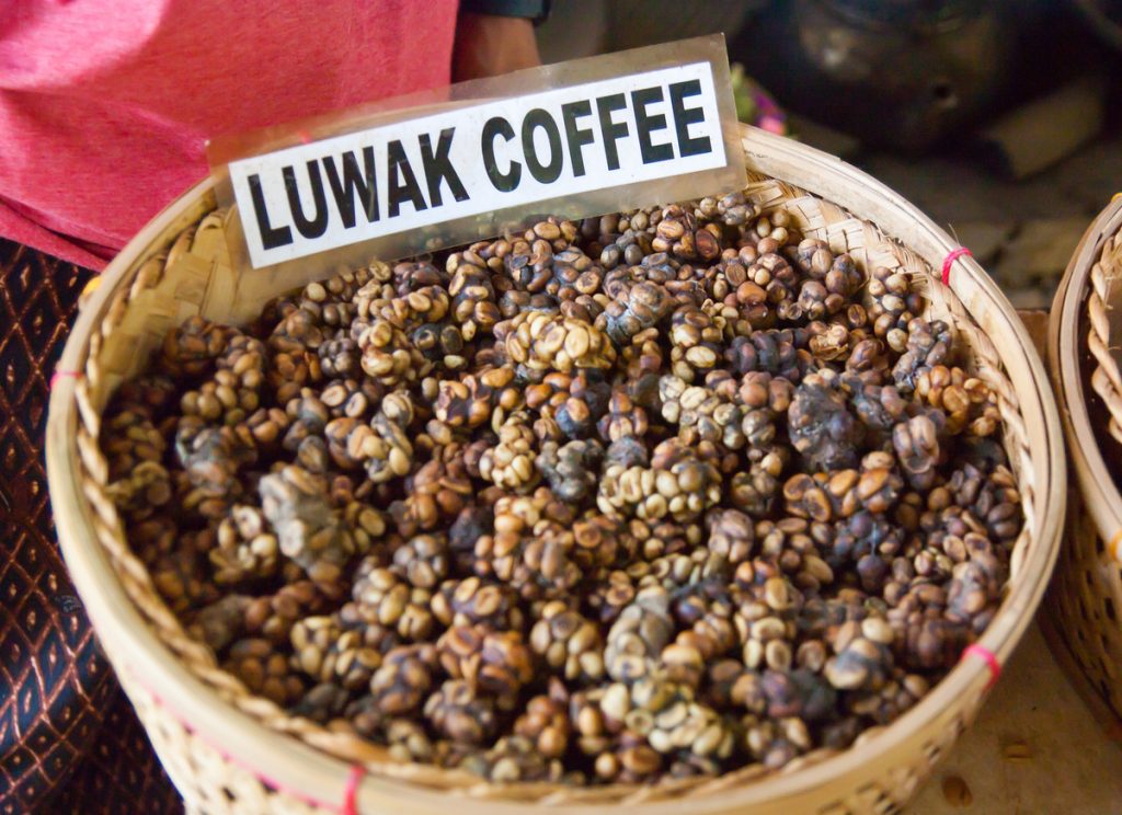 Kopi luwak weird beers