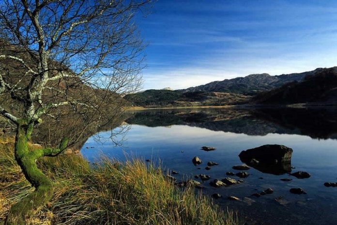 Llyn Dinas Snowdonia Wales