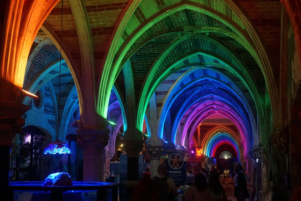 Sea Life Centre Brighton