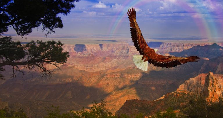 Is The USA The Best Country For Wildlife Travel?