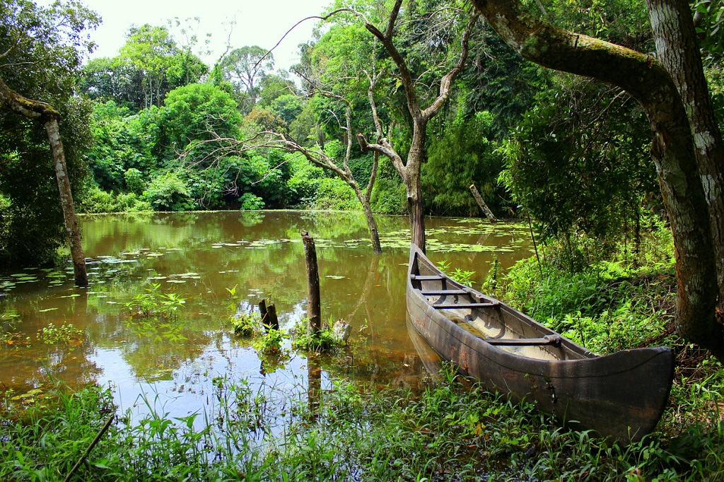 Drive from Bangalore to Wayanad