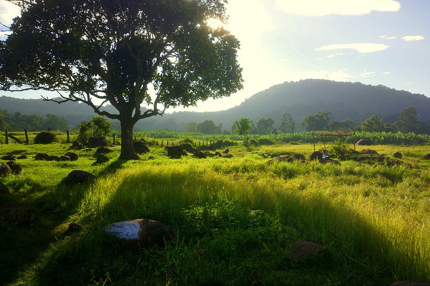 Yelagiri-Hills