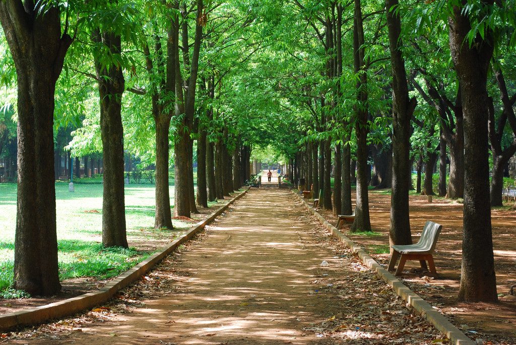 Cubbon Park is one of Bangalore's cycling trails