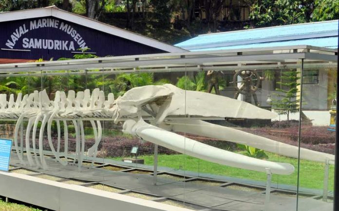 Samudrika Naval Marine Museum Andamans