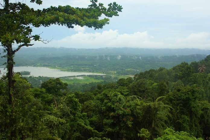 View from Mt. Harriet