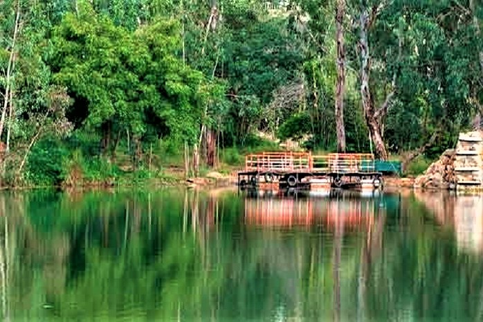 Kotla-Vijayabhaskara-Reddy-Botanical-Garden