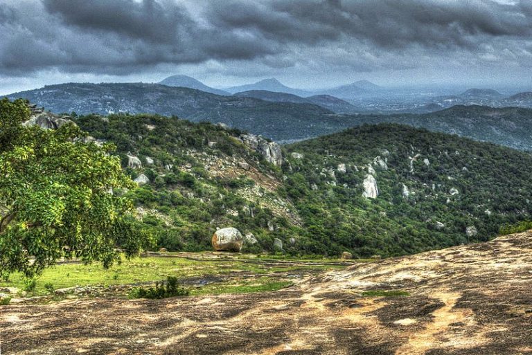 12 Best Hill Stations Near Bangalore: Within 500 Km