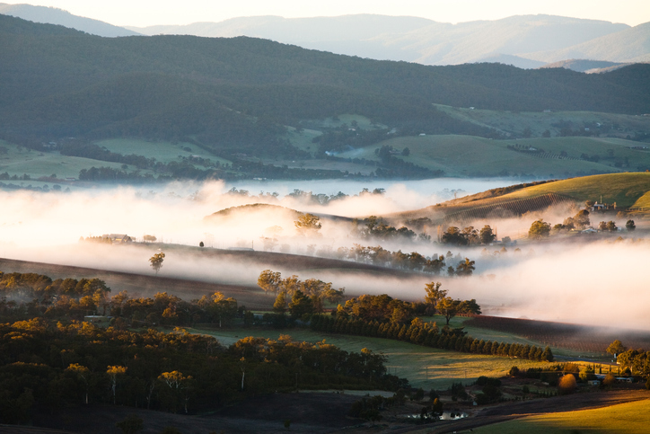 A view across a valley at sunrise in the Yarra Valley - things to do in Melbourne