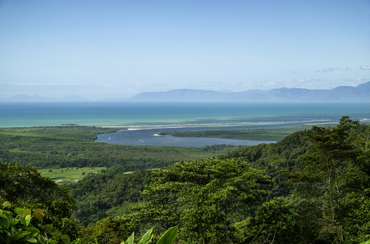 Looking out over the Daintree River and rainforest in North Queensland