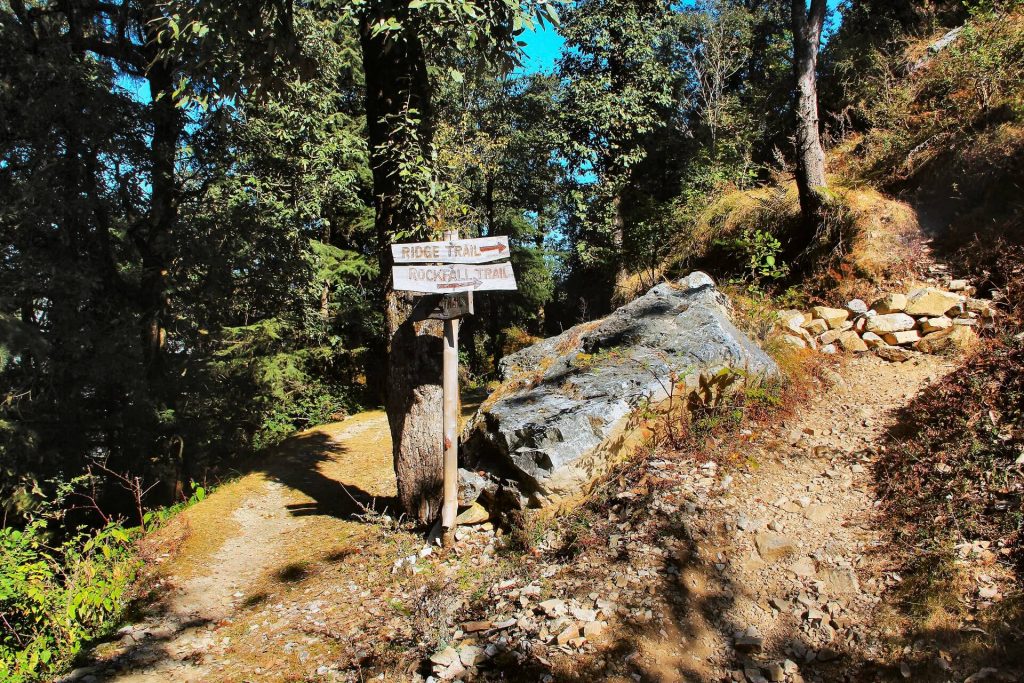 Jaberkhet Nature Reserve Trekking trail, Landour, Uttarakhand