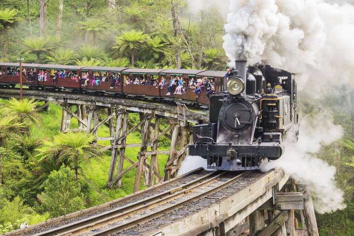 Puffing Billy, a century-old tourist steam train, crosses a trestle bridge in the Dandenong Ranges.