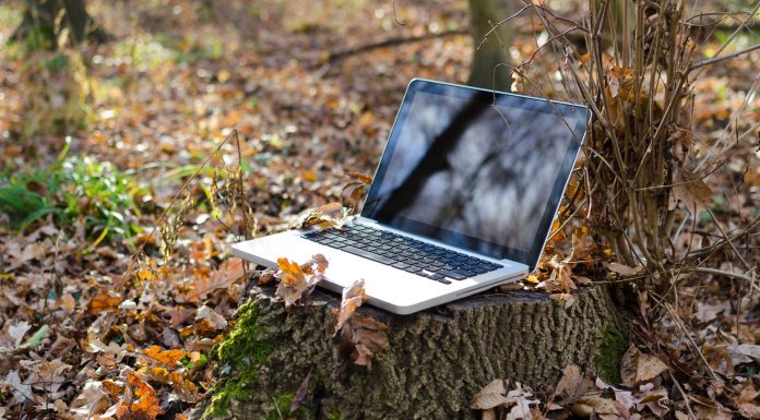 Digital nomad, (Image Source: Pexels) Digital nomad