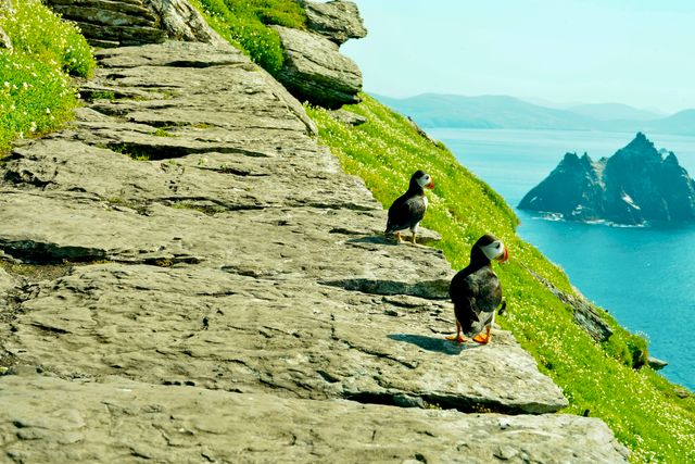 Skellig Michael, Ireland