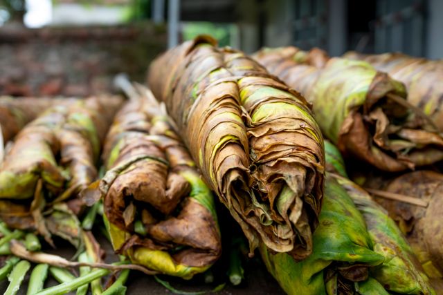 Ela Ada popular snacks of kerala south India.