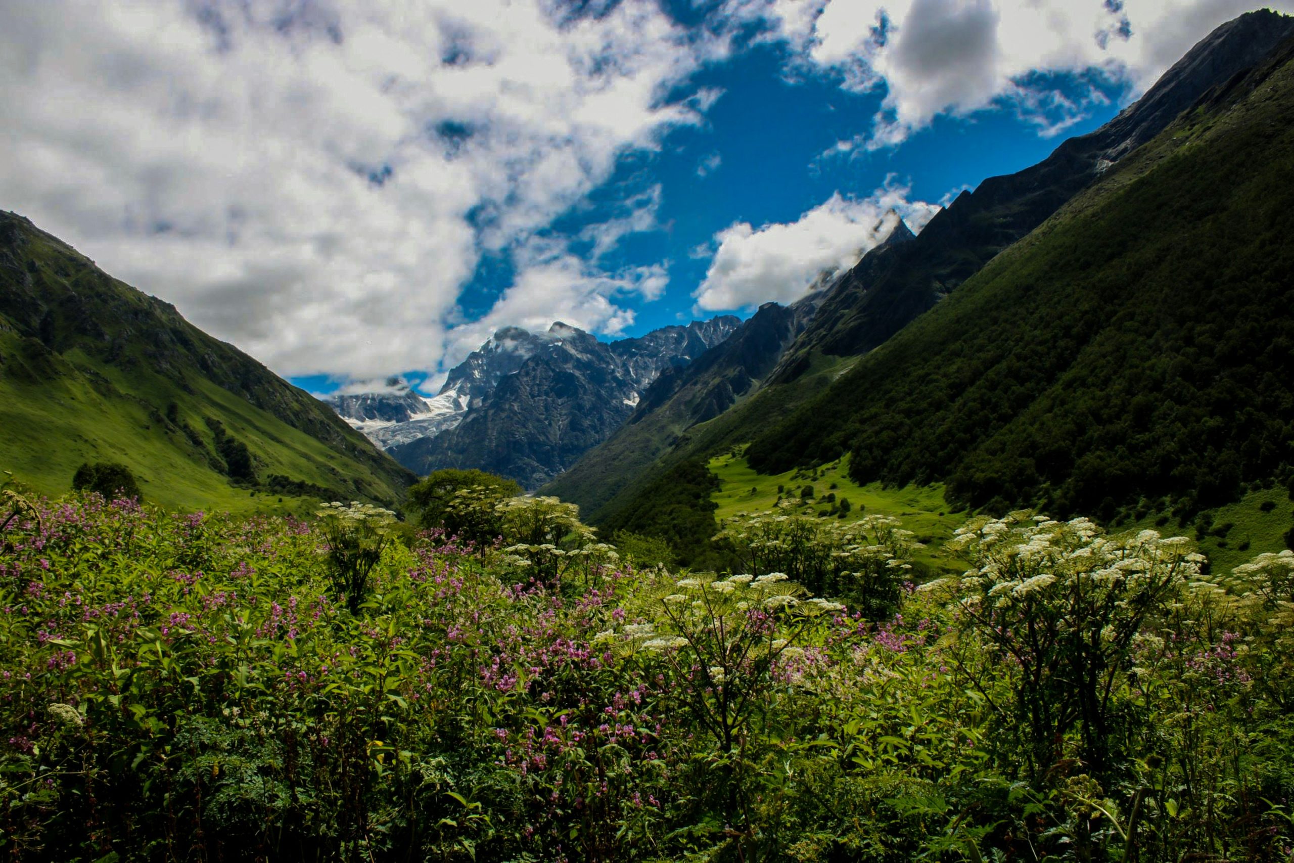 Valley of Flowers Trek