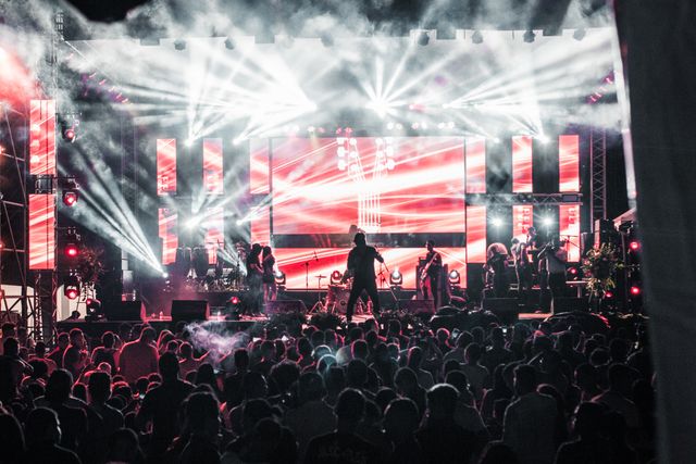 people enjoying a concert