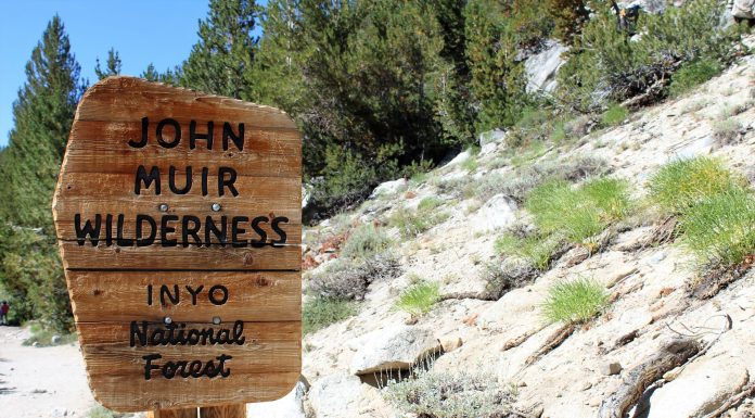 John Muir Trail, (Image Source: Pexels) John Muir Trail