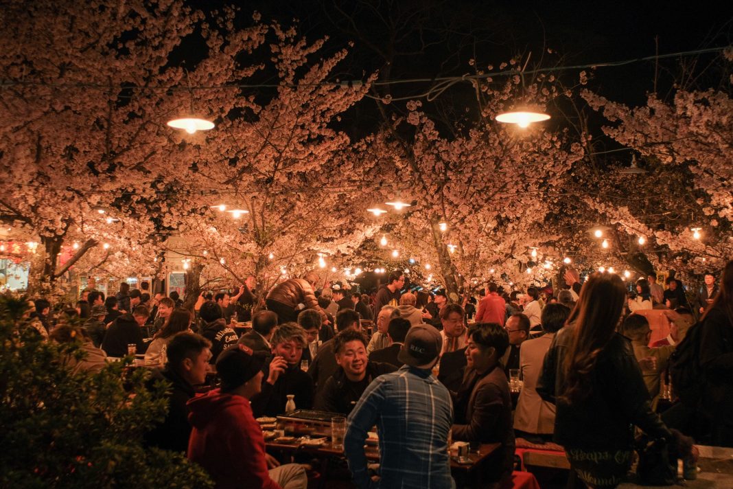 Hanami (Cherry Blossom Festival) 