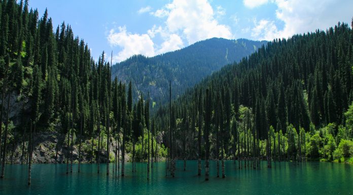 Kaindy lake (Image Source: Unsplash) kaindy lake