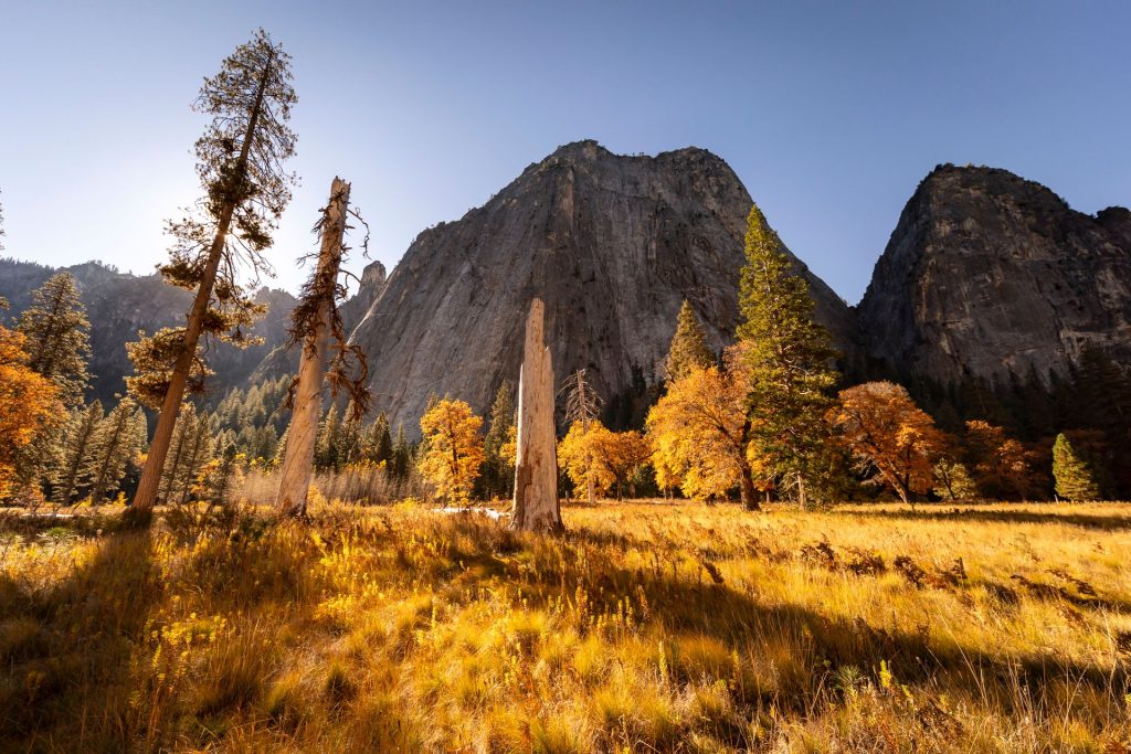 National Parks in the United States