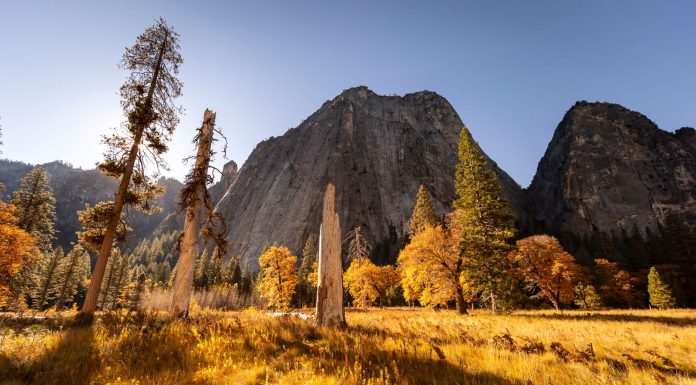National Parks in the United States, (Image Source: Pexels) National Parks in the United States