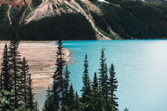 Banff National Park
