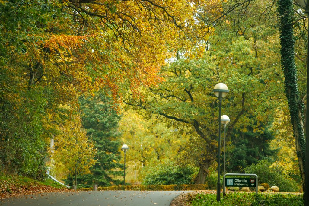 A Day In Kolding, Denmark