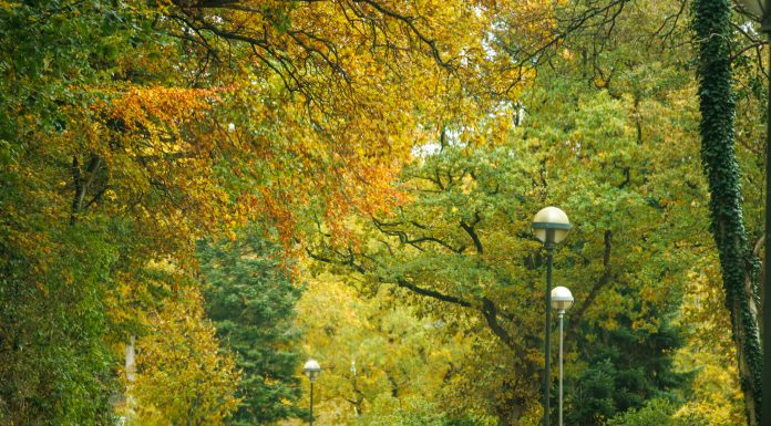 A Day In Kolding, Denmark (Image Source: Unsplash) A Day In Kolding, Denmark