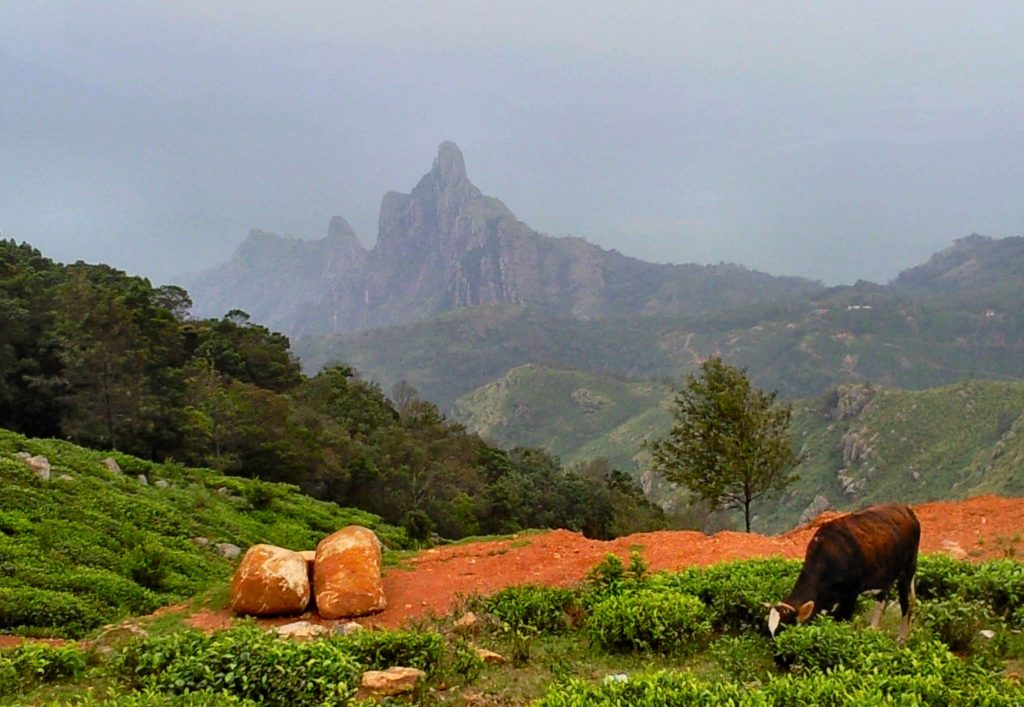 Kodanad Viewpoint - things to see in Coonoor