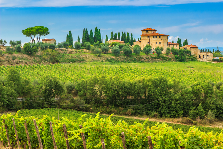 Typical Tuscany stone house with stunning vineyard in the Chianti region,Tuscany,Italy,Europe