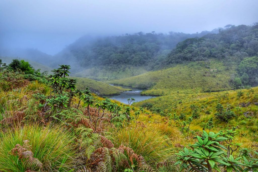 Horton Plains National Park