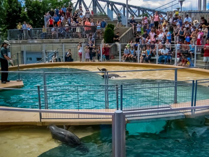 Aquarium-du-Québec