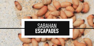 sabahan escpades