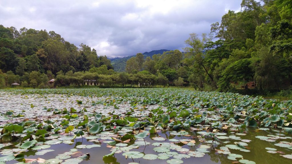 Loukoipat Ecological Park