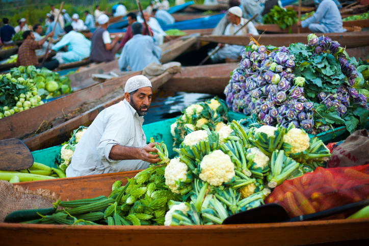 Dal Lake Floating Market Boat Full Vegetables