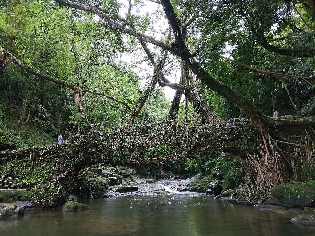 Mawlynnong, Meghalaya